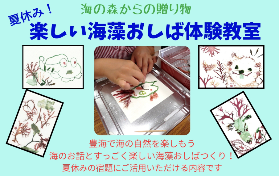 夏休みイベントのお知らせ 「楽しい海藻おしば体験教室」開催！ 〜海の森からの贈り物〜
